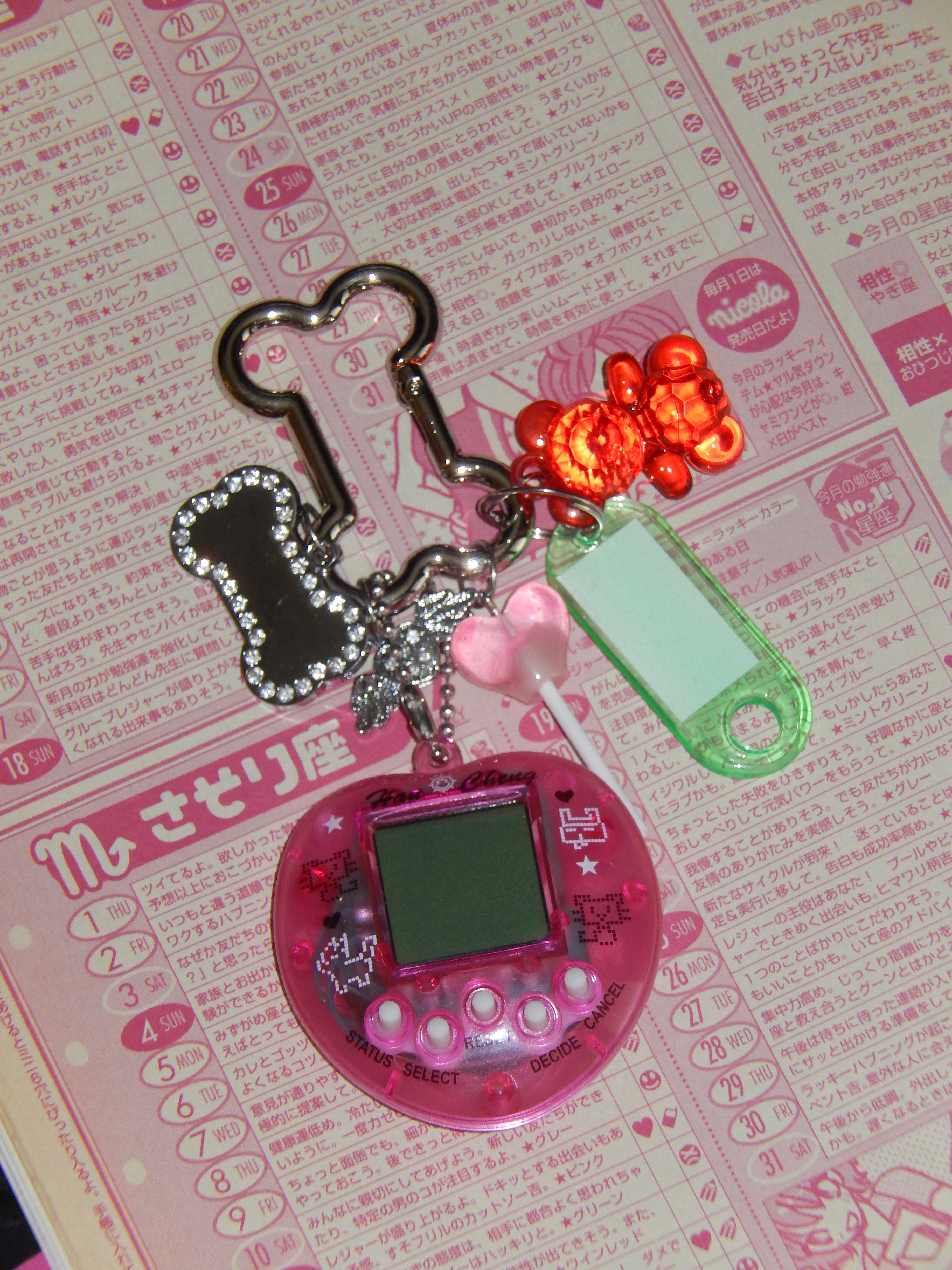 BBS Y2K Cyber-Heart Pet Charm